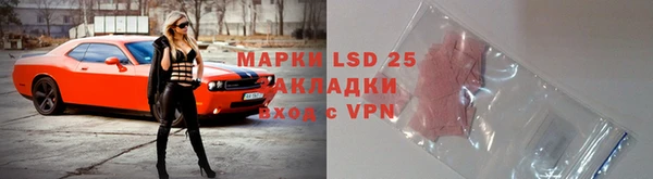 прущие крисы Абаза