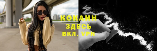 прущие крисы Абаза