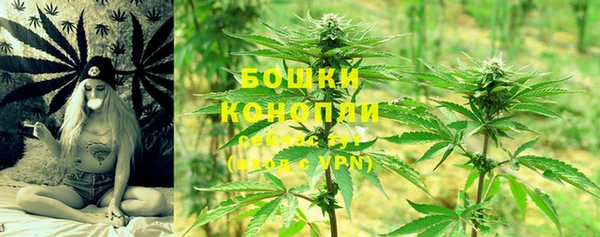 прущие крисы Абаза