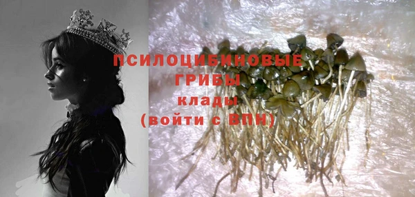 прущие крисы Абаза
