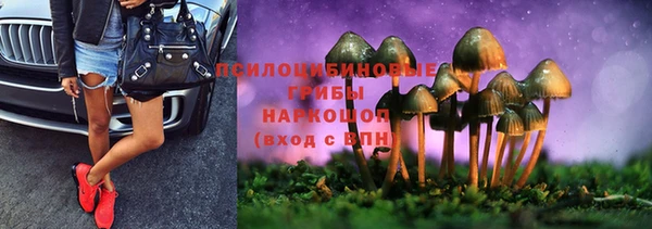 прущие крисы Абаза