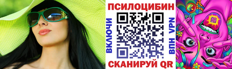 ссылка на мегу   Питкяранта  Галлюциногенные грибы Psilocybe 